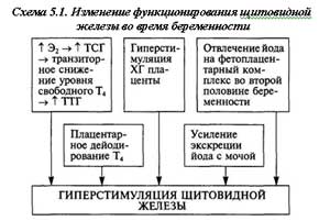 физиологический гипертиреоз беременных