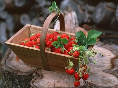 Фрукты и ягоды во время беременности