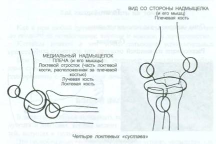 Баланопостит кобели лечение