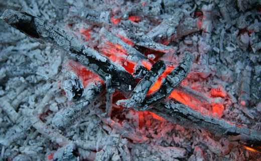 зола