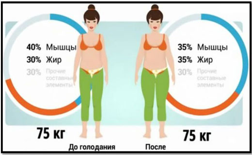 баланс между телом и здоровьем