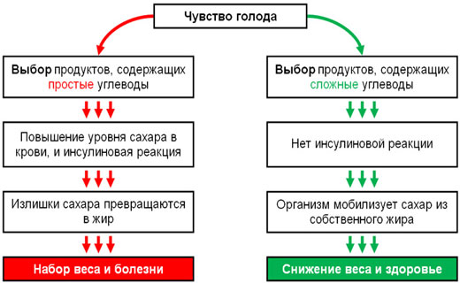 борьба с голодом во время диеты
