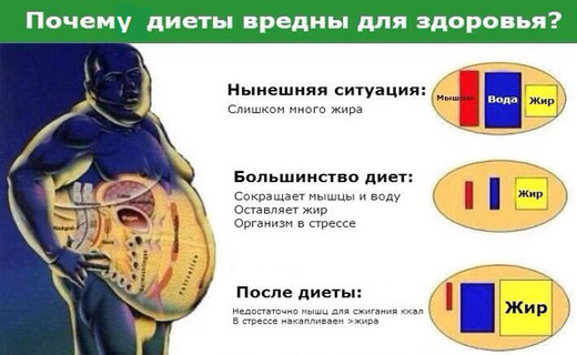 чем опасны диеты для организма