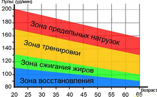физические нагрузки