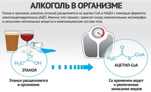алкоголь и похудение