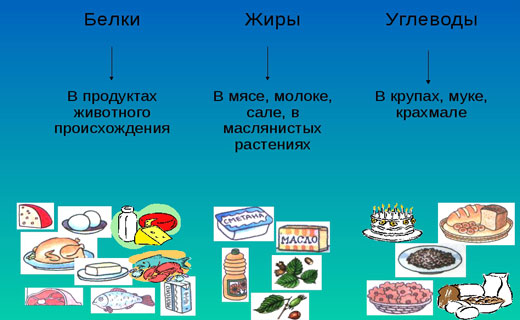 что вы едите