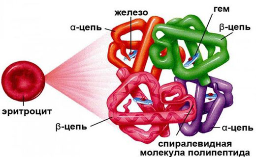 кислород и железо