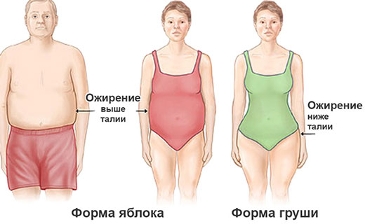 жир у мужчин