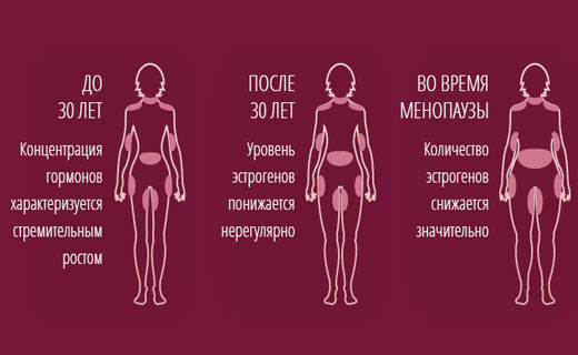 эстроген и бедра