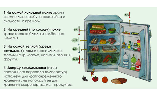 хранение продуктов в холодильнике