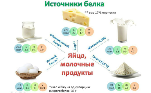 источник белка