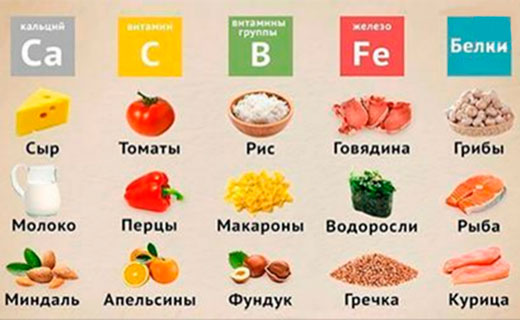 из чего состоит еда