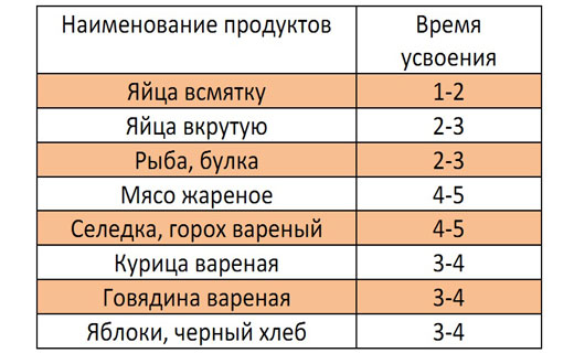 время усваивания продуктов