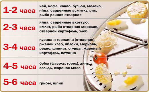 как быстро переваривается еда