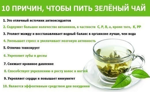 полезные свойства зеленого чая
