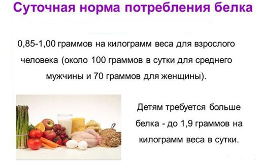 как получить протеин