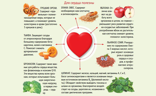 основы питания для укрепления сердечной мышцы