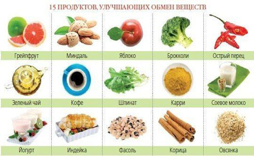 как ускорить обмен веществ
