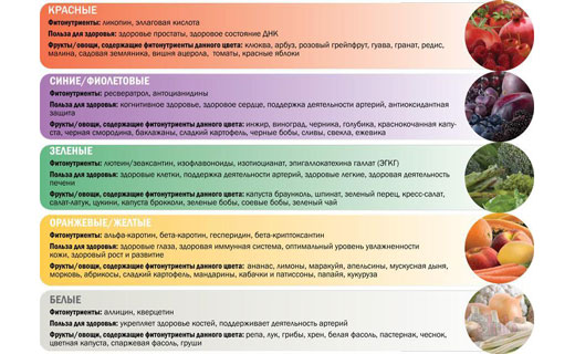 классификация фитонутриентов