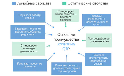 коэнзим для организма человека