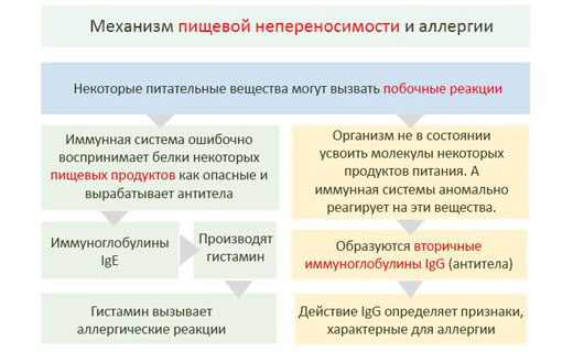 пищевая непереносимость