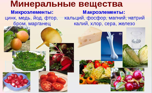 минералы в организме