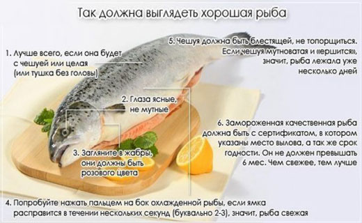 советы по выбору рыбы