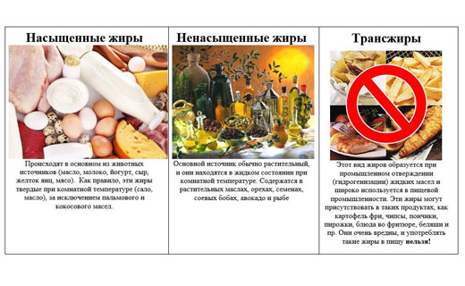 плохие и хорошие жиры