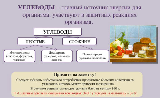 польза углеводов