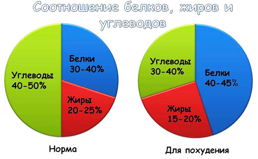 баланс белков жиров и углеводов