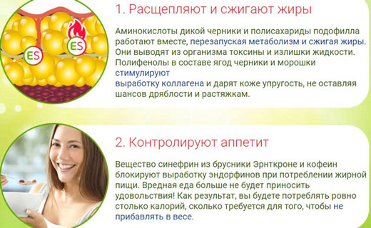 жиросжигающие препараты для похудения