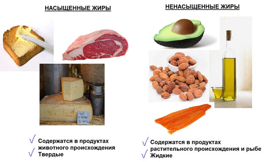 продукты источники жиров