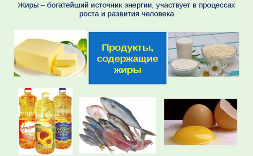 продукты содержащие жиры