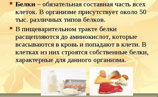 роль белков для организма