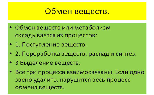 обмен веществ и метаболизм