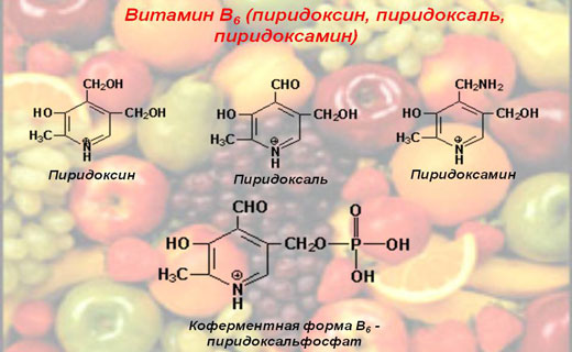 витамин б6