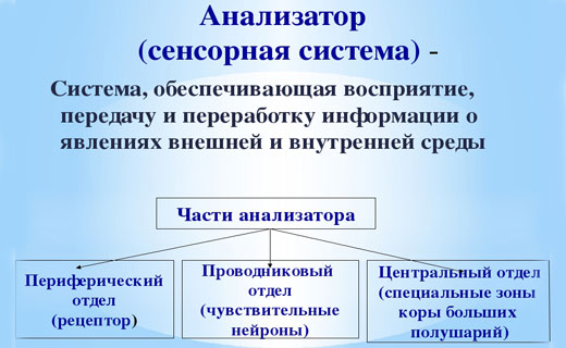 восприятие пространства