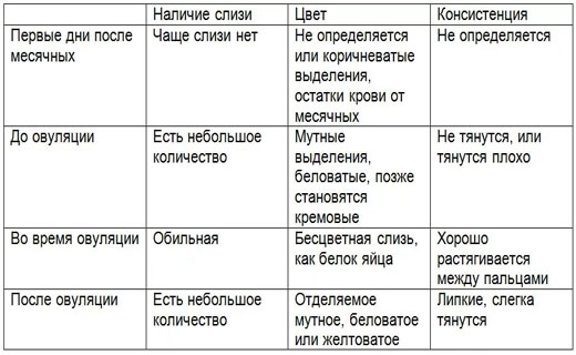 выделения при эуволяции