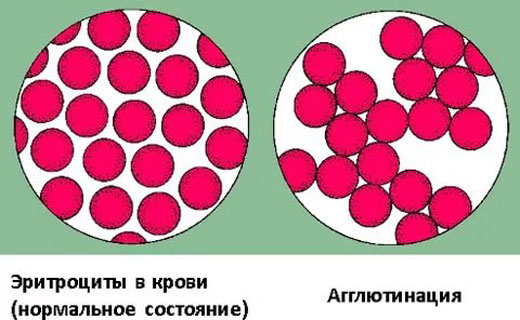 половые проблемы