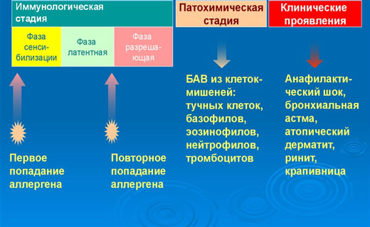 симптомы аллергии