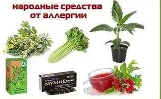 заговор от аллергии