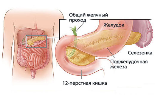 лечение рефлюкса
