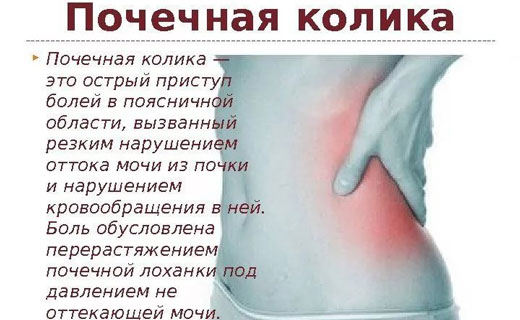 почки