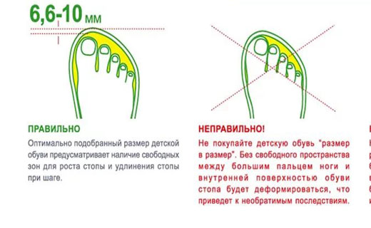 лучшая обувь