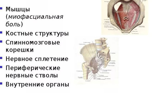 мышечные боли