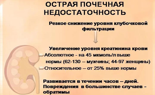 почки