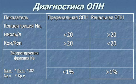почки