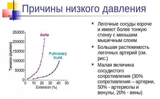 болезнь сердца