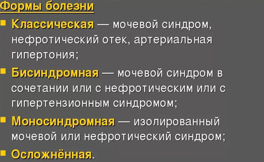 почки