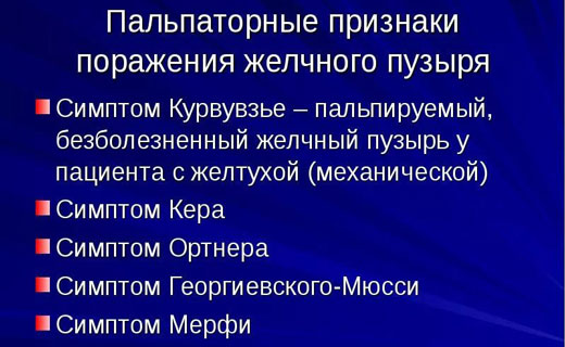 почки